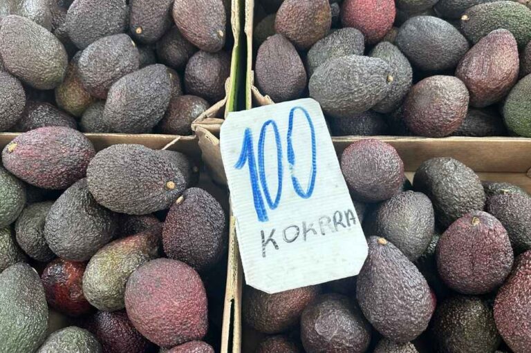 awokado ceny Albania 2025